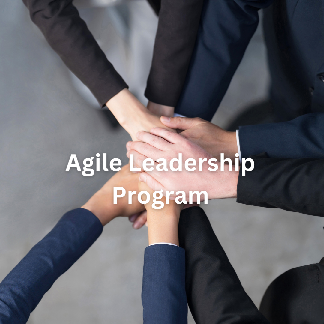 Agile Leadership Program