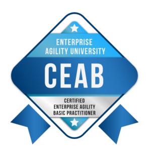 Certified Enterprise Agility Basic Practitioner